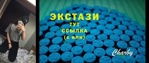 мет Алексин