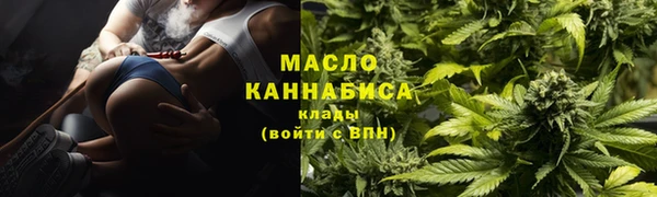 прущие грибы Алзамай