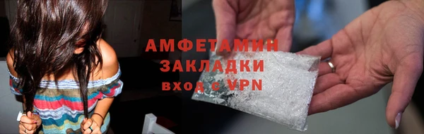 прущие грибы Алзамай