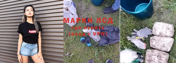 мет Алексин