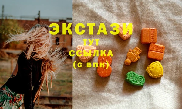 мет Алексин