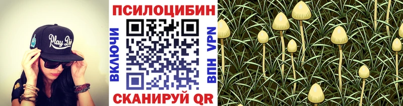 Галлюциногенные грибы Cubensis Амурск