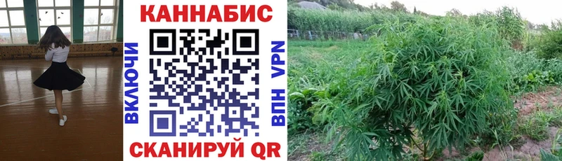 как найти   Амурск  МАРИХУАНА LSD WEED 
